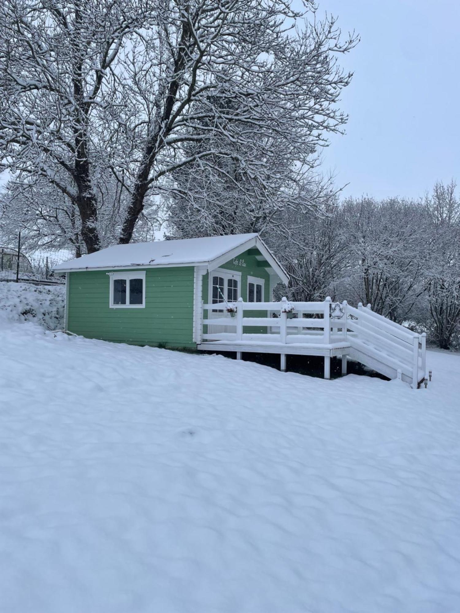 La Paix, Chalet De Charme Dans Le Bocage Normand Condé-sur-Noireau Exteriör bild
